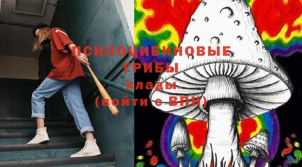кокс Богородск