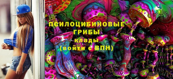 дживик Богданович