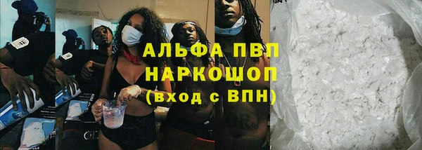 дживик Богданович
